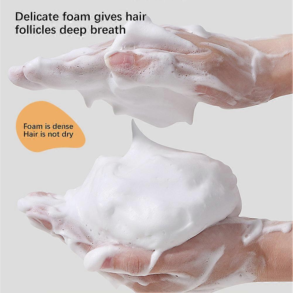 Ginger Plant Extract anti - hair loss shampoo ( Pack Of 10 )