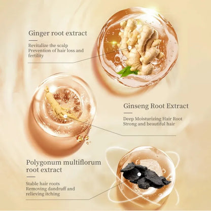 LiQT Anti–Hair Growth Ginger Shampoo ( BUY 1 GET 1 FREE )