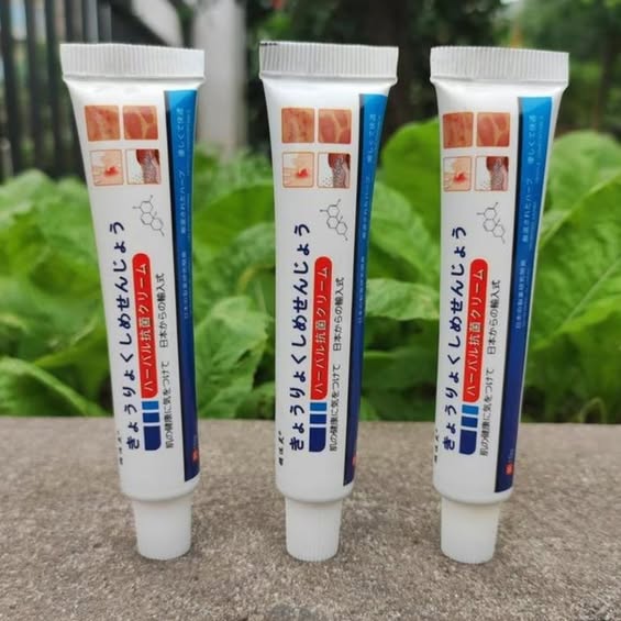 Japan Anti - Fungal Ointment Eczema Cream ( BUY 1 GET 1 FREE )
